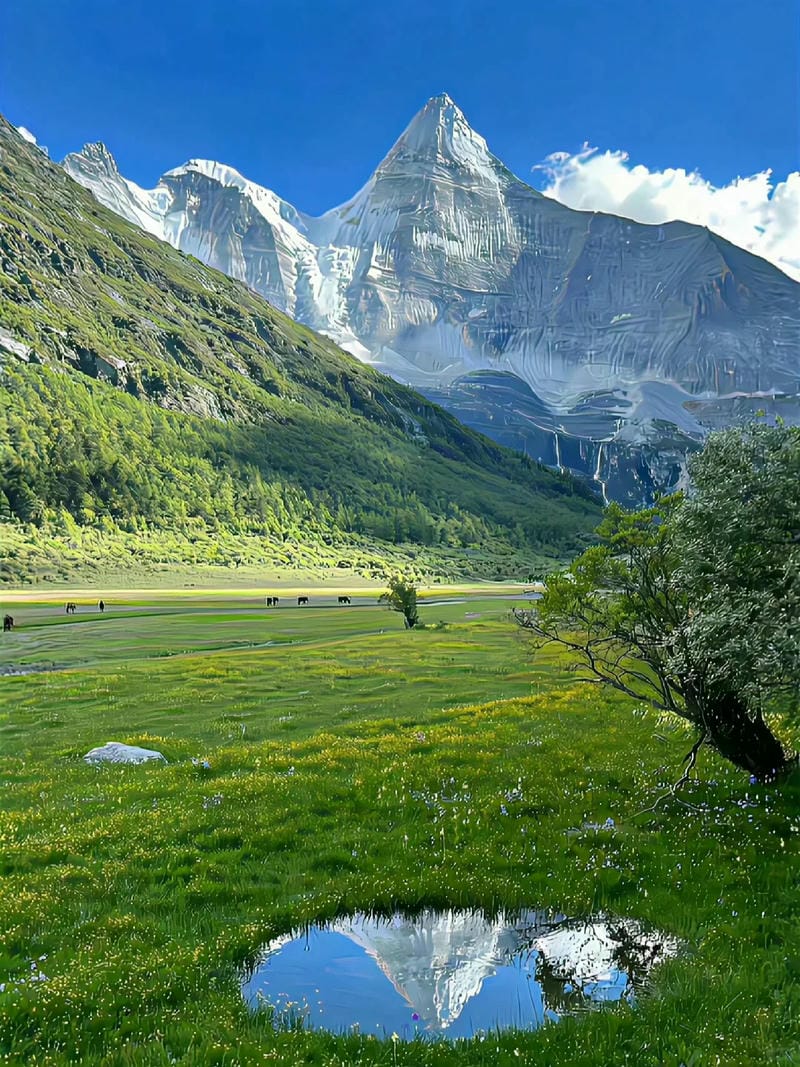 ảnh phong cảnh chill 3