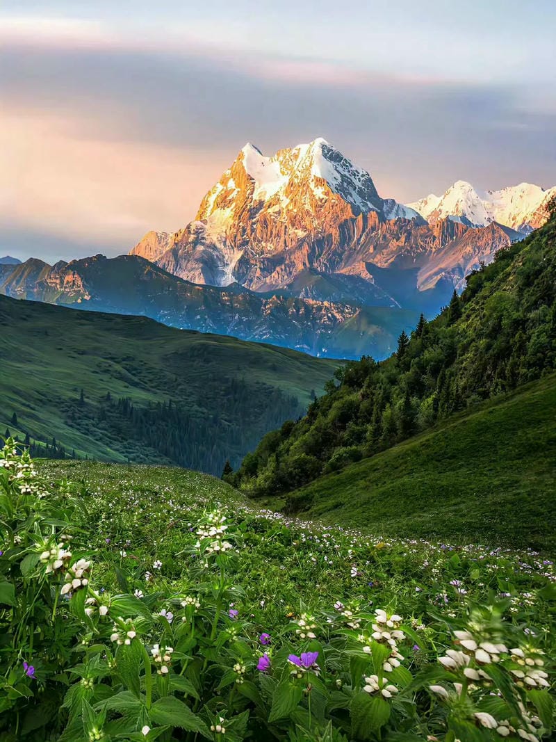 ảnh phong cảnh chill 4