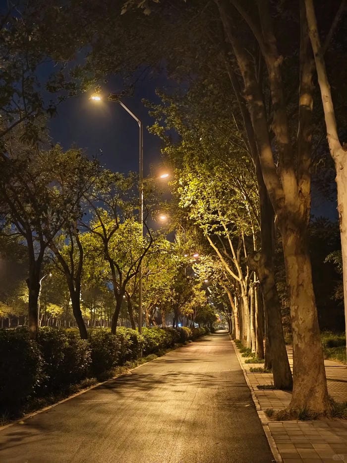 hình ảnh chill đường phố 21