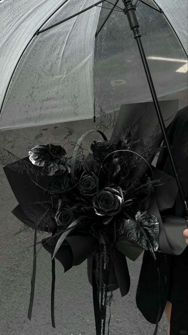 hình ảnh hoa hồng đen 12
