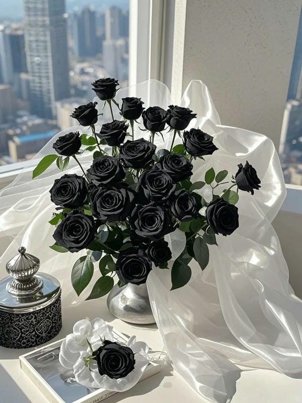 hình ảnh hoa hồng đen 15