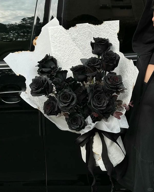 hình ảnh hoa hồng đen 18