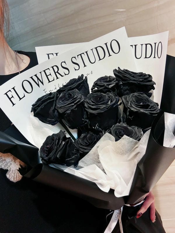 hình ảnh hoa hồng đen 19