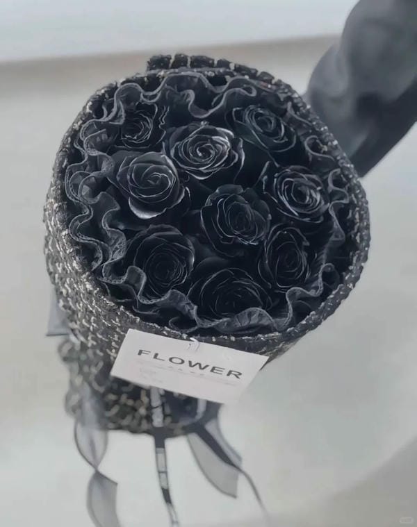 hình ảnh hoa hồng đen 2