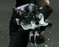 Tuyển chọn 240+ hình ảnh hoa hồng đen đẹp ma mị sang chảnh