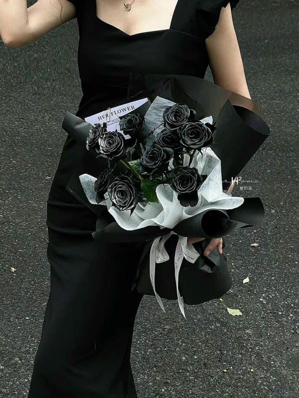 hình ảnh hoa hồng đen 20
