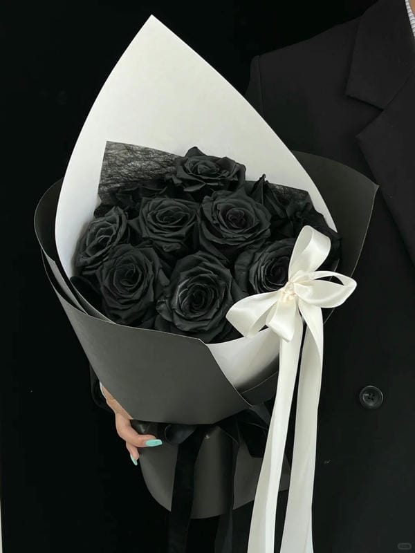hình ảnh hoa hồng đen 3