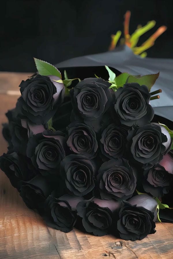 tải hình ảnh hoa hồng đen