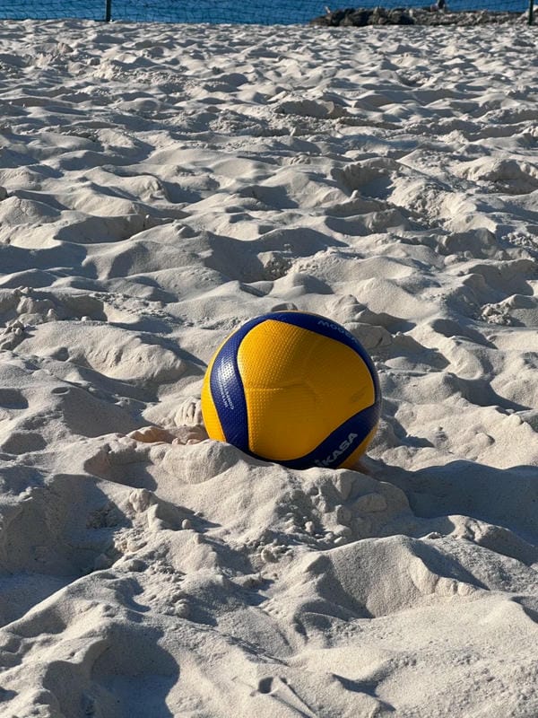 ảnh bóng chuyền 21