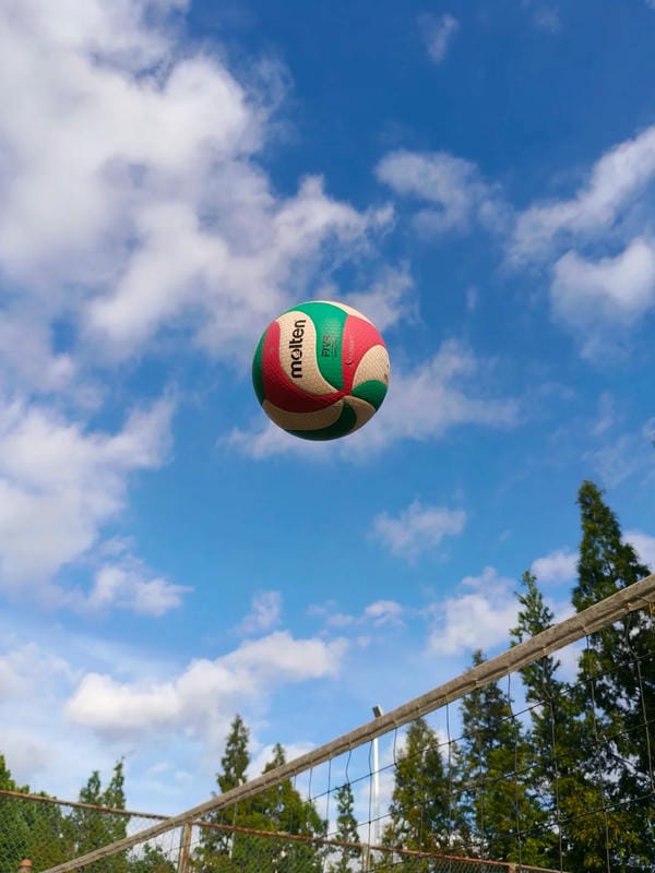 ảnh bóng chuyền 40