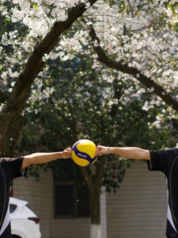 ảnh bóng chuyền 5