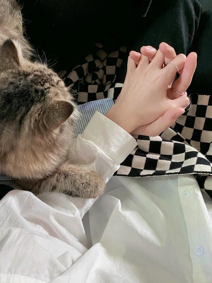 ảnh chụp nắm tay người yêu