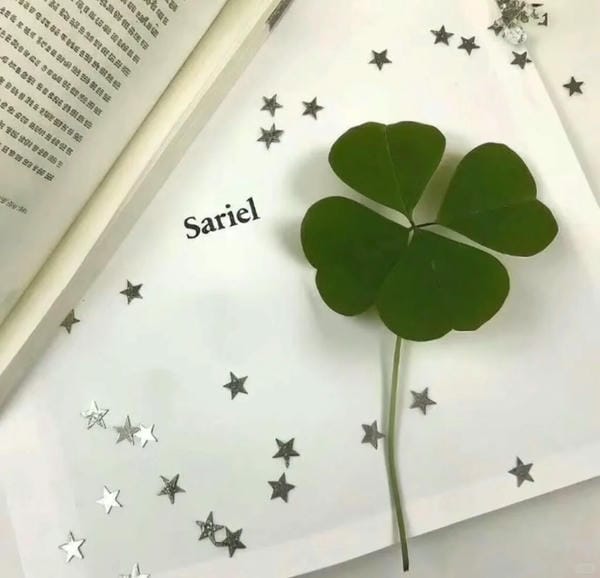 ảnh cỏ 4 lá may mắn đẹp 15