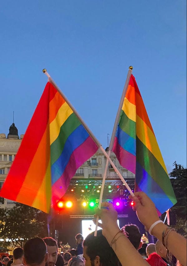 ảnh cờ lgbt 17
