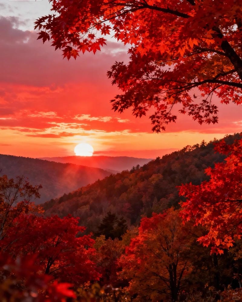 ảnh hoàng hôn buồn