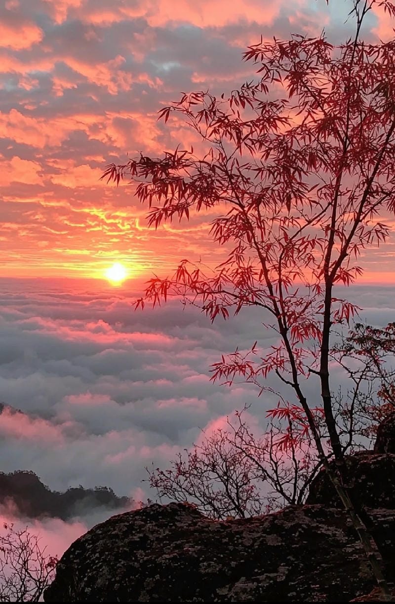 ảnh hoàng hôn đẹp 11