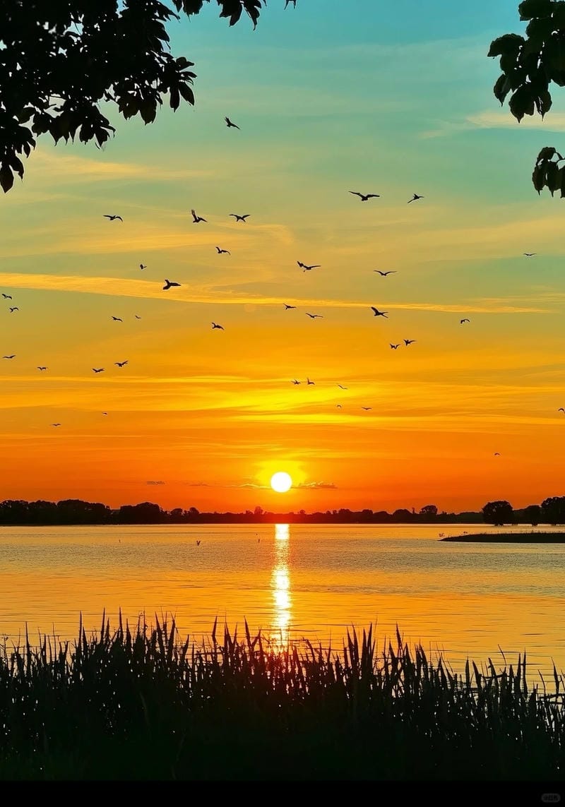 ảnh hoàng hôn đẹp 12