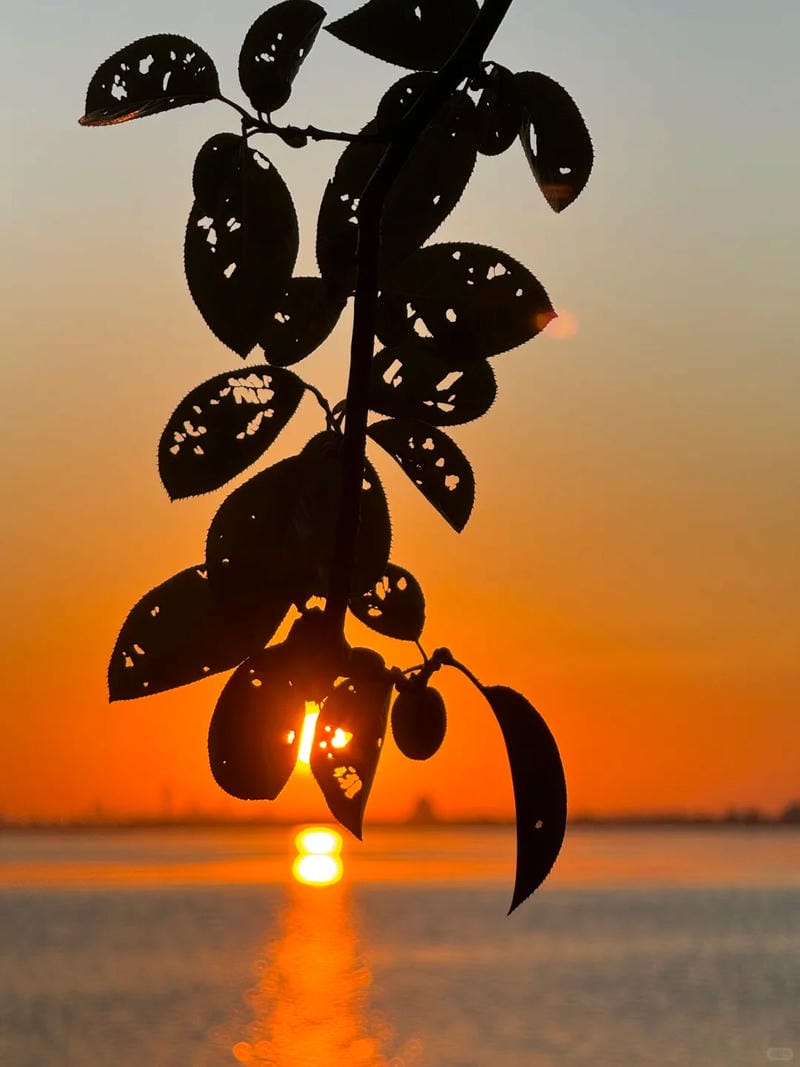 ảnh hoàng hôn đẹp 2