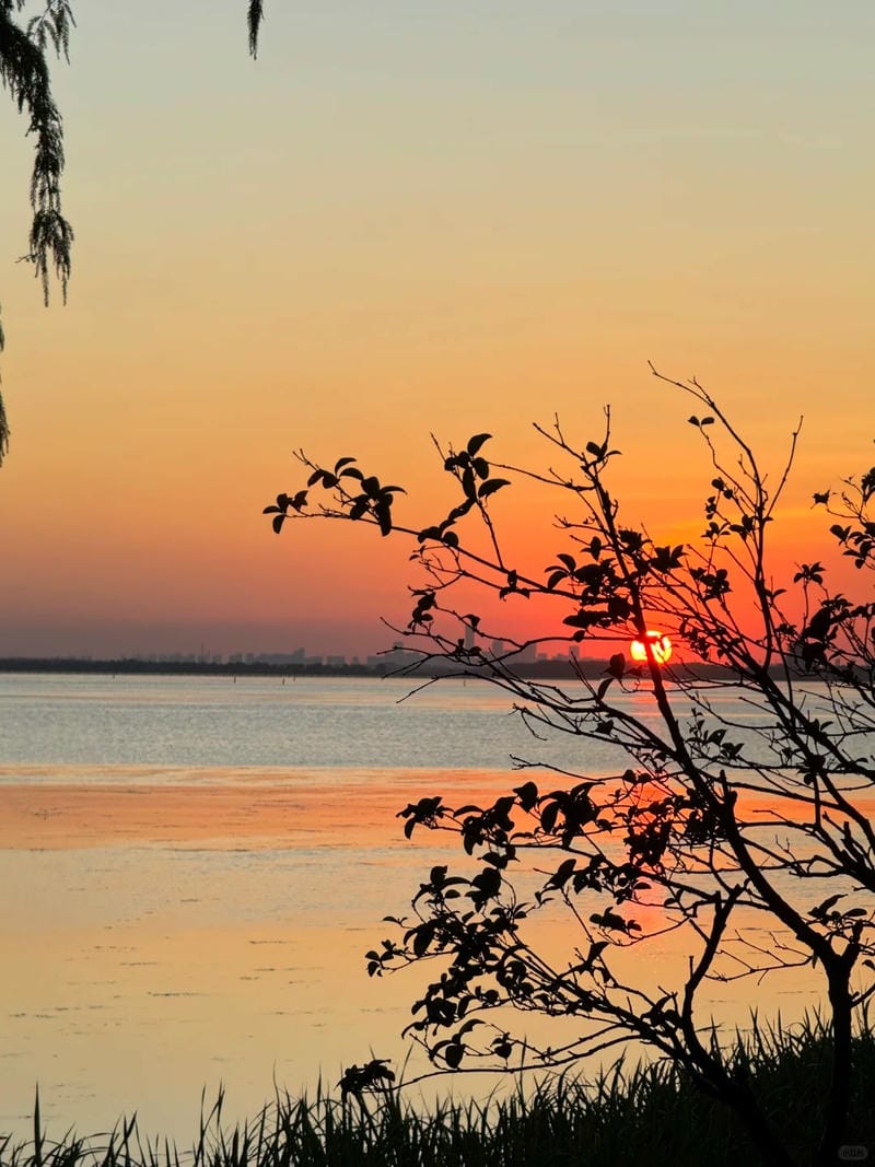 ảnh hoàng hôn đẹp 3