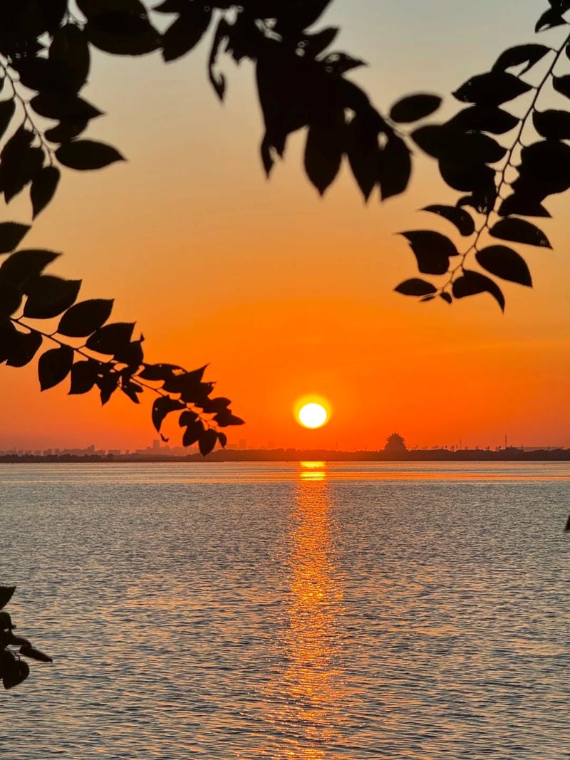 ảnh hoàng hôn đẹp 4