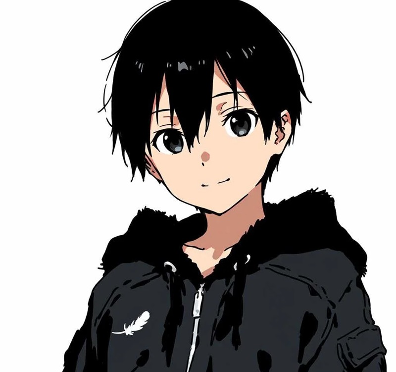 ảnh kirito 22