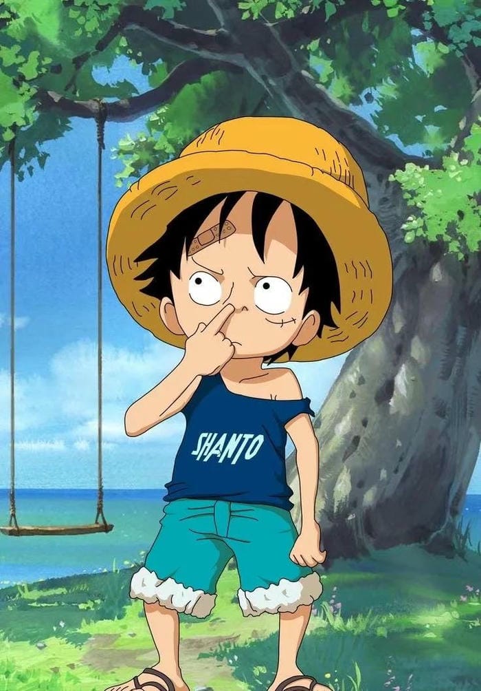 ảnh luffy cười 13
