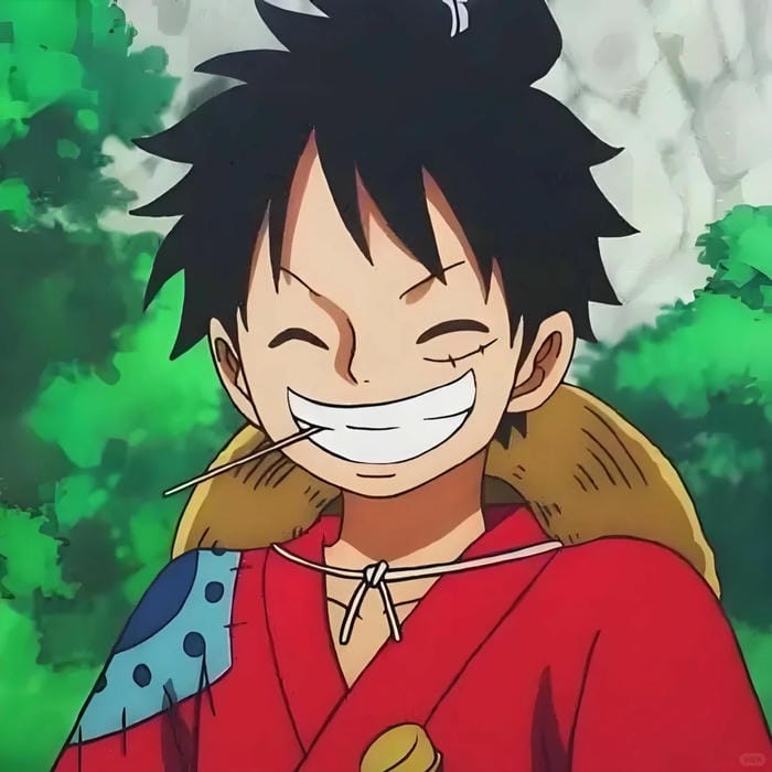 ảnh luffy cười 16