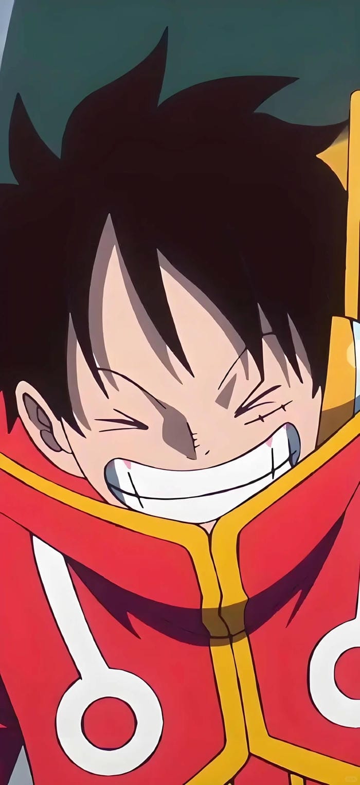 ảnh luffy cười 17