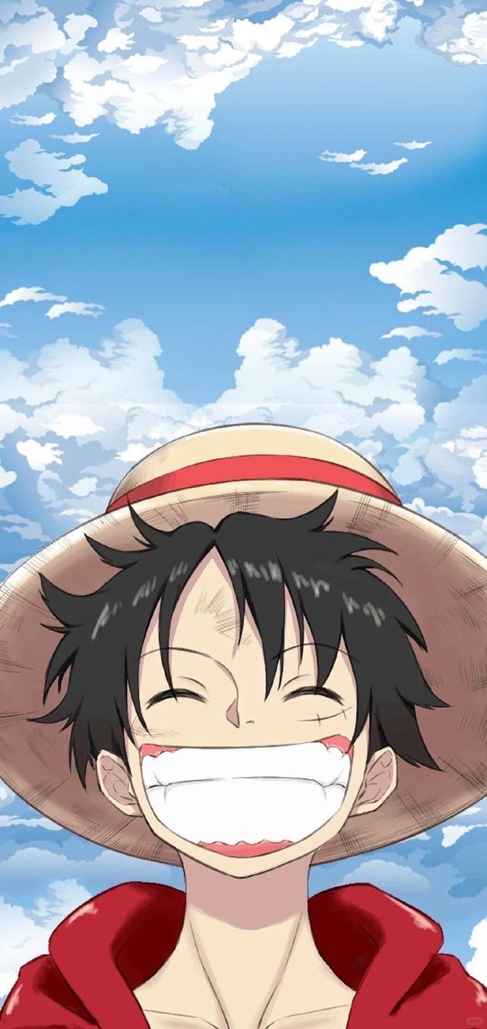 ảnh luffy cười 19