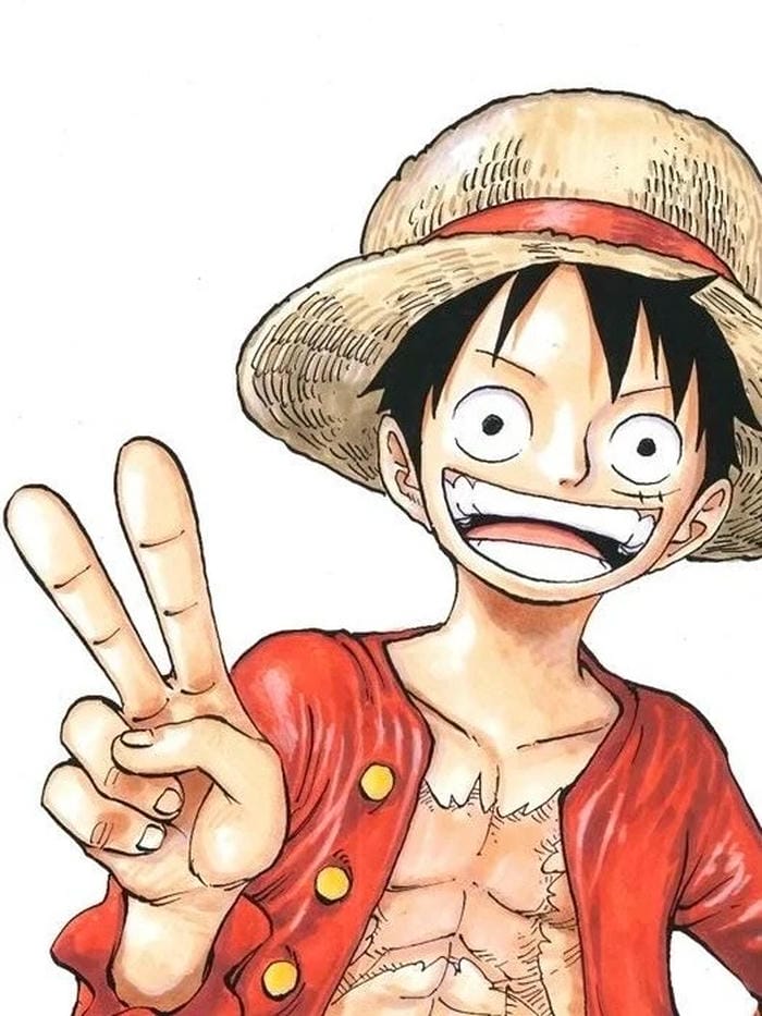 ảnh luffy cười 26