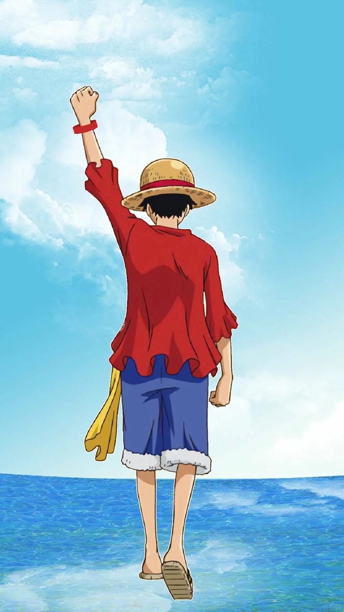 ảnh luffy cười 6