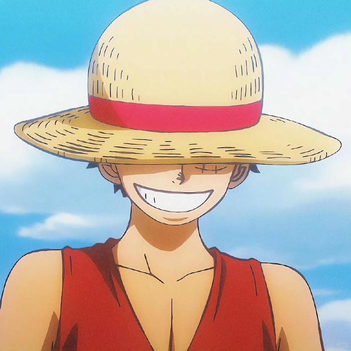 ảnh luffy cười 9