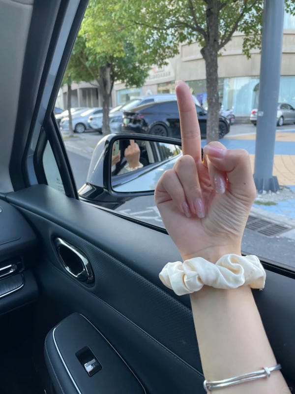 ảnh ngón giữa 1