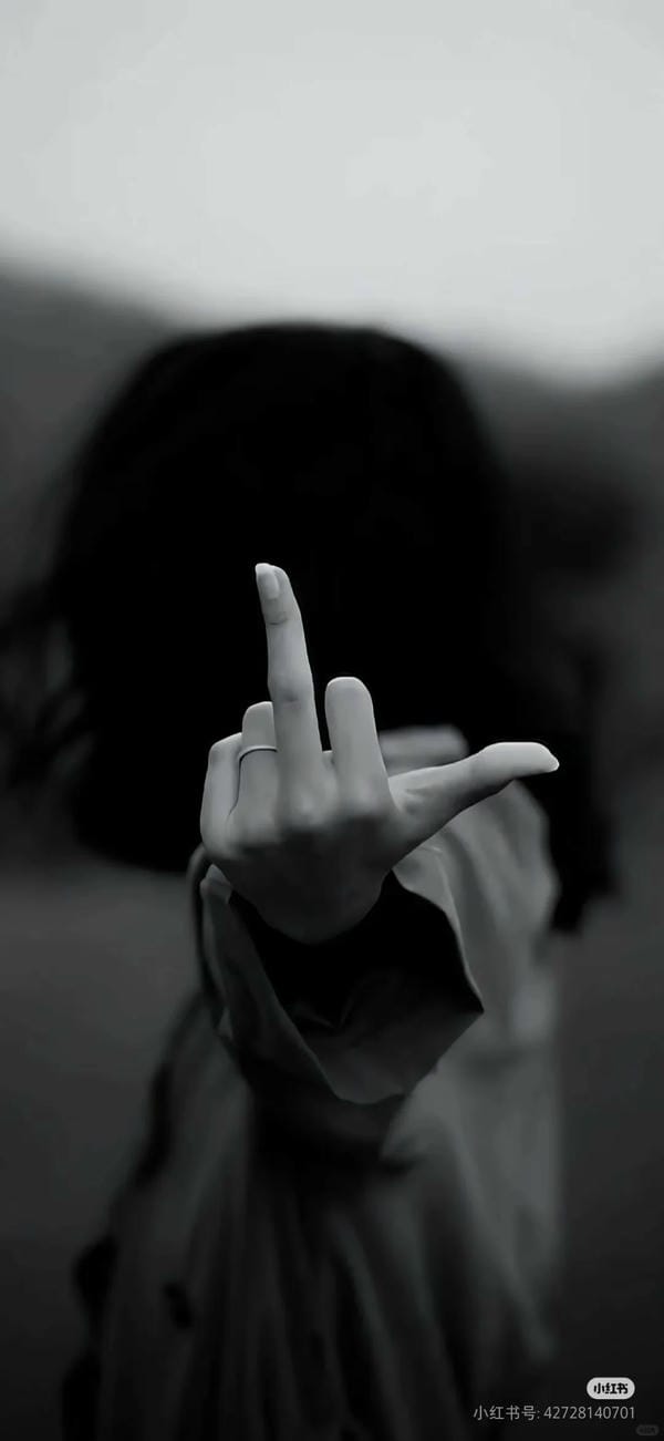 ảnh ngón giữa 16