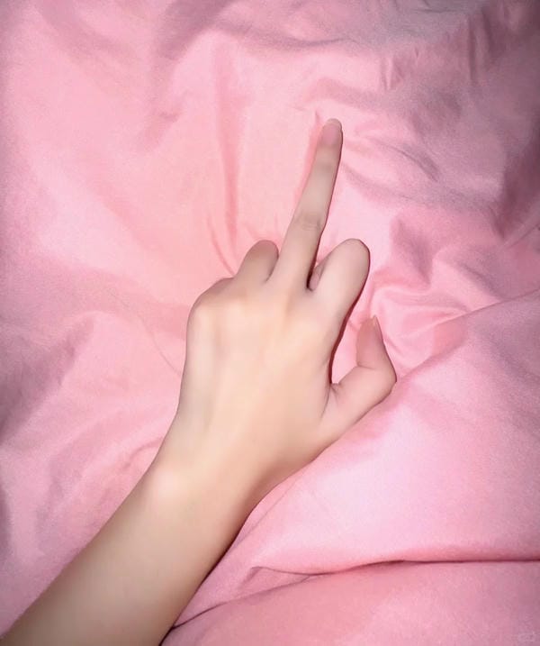 ảnh ngón giữa 17