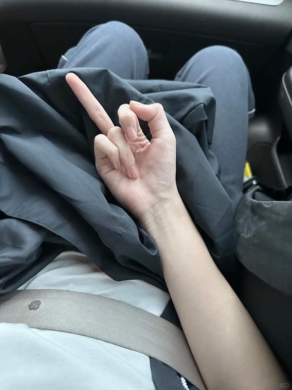 ảnh ngón giữa 2