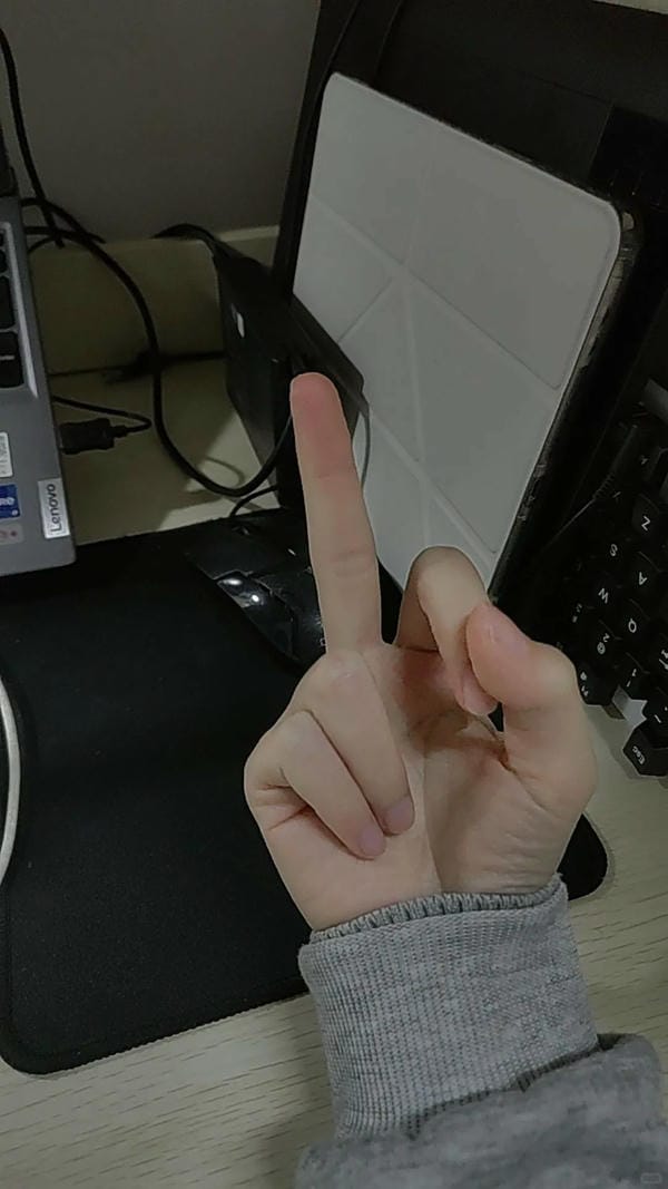 ảnh ngón giữa 6