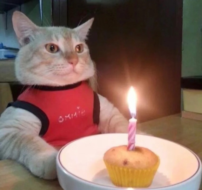 ảnh sinh nhật chế 27