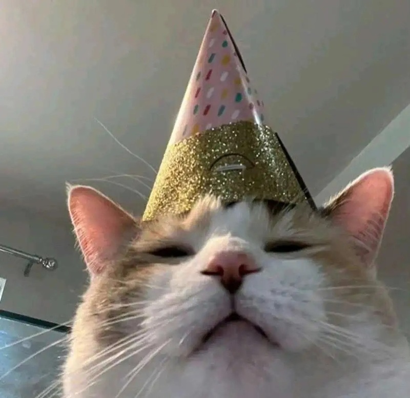 ảnh sinh nhật chế 31