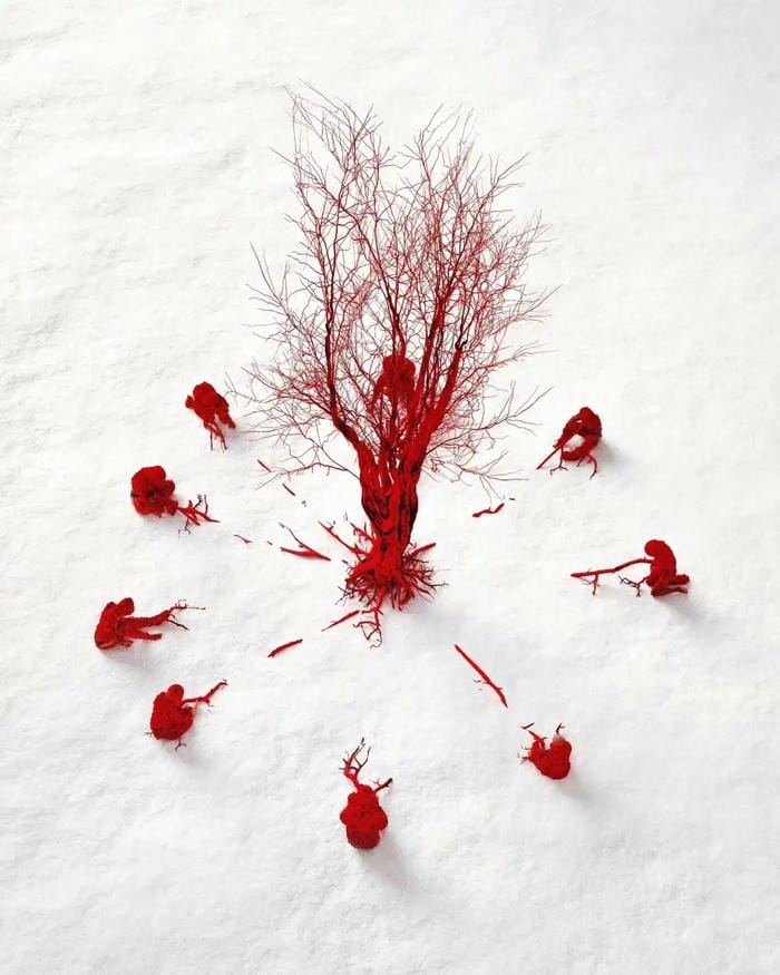 ảnh trầm cảm 12