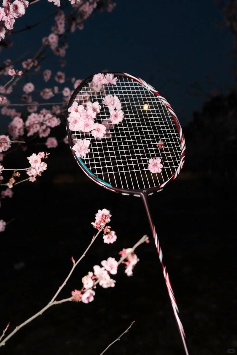 ảnh vợt cầu lông 11