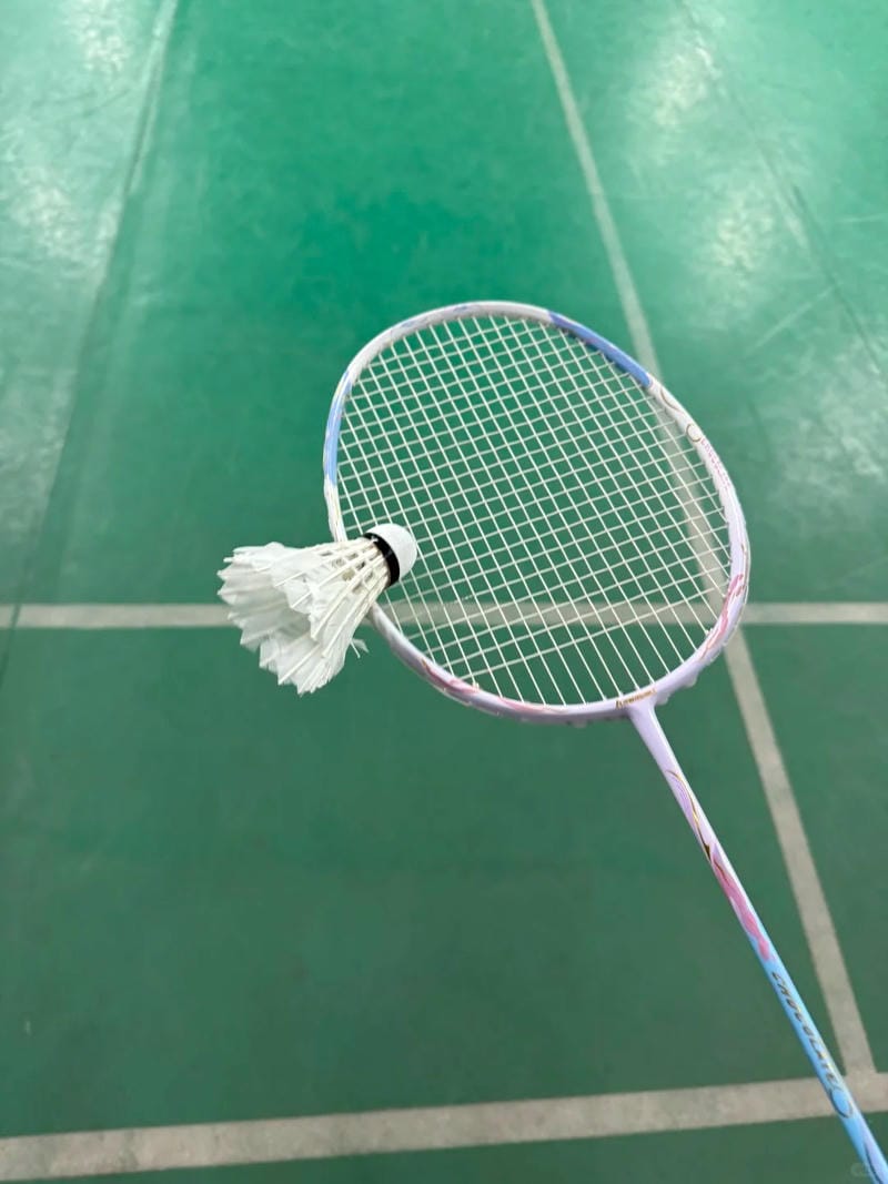 ảnh vợt cầu lông 14