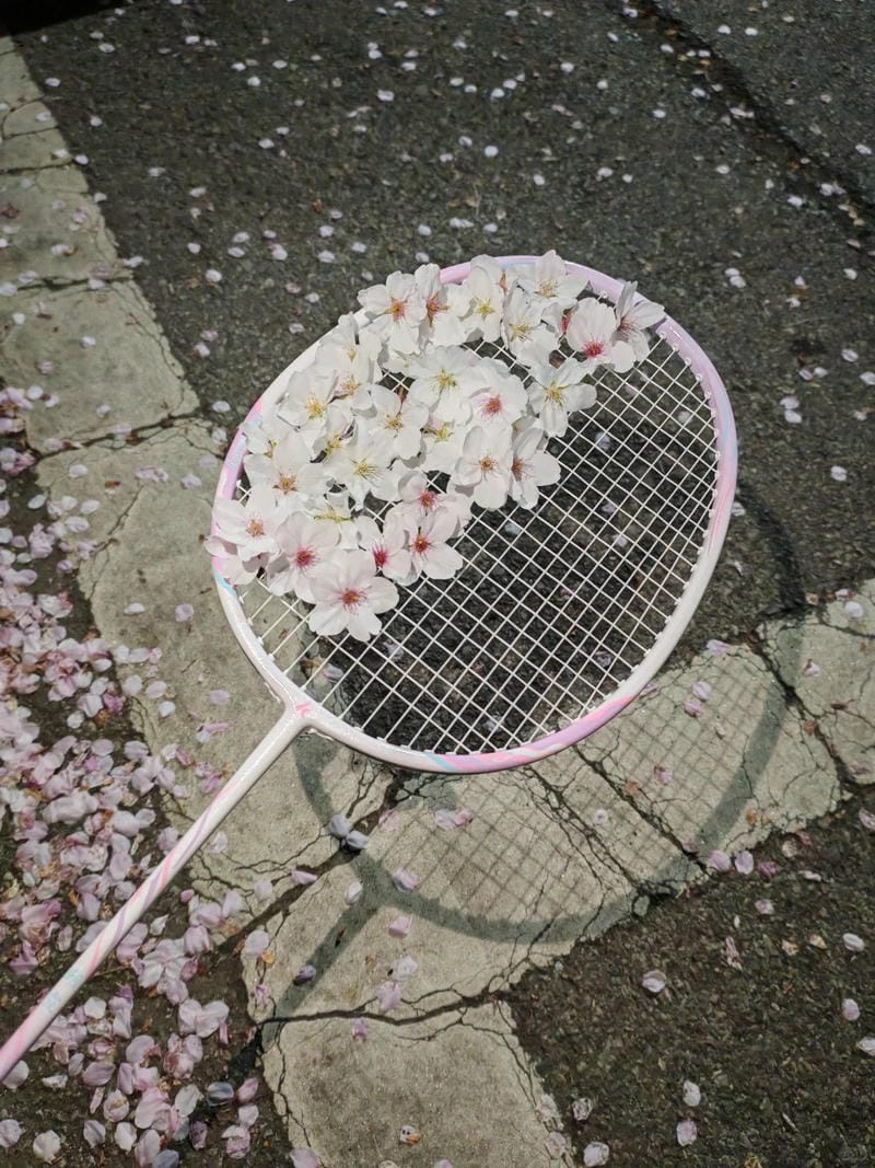 ảnh vợt cầu lông 23