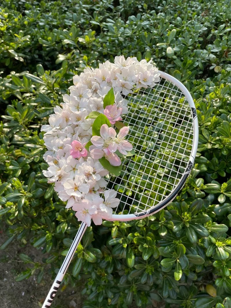 ảnh vợt cầu lông 26