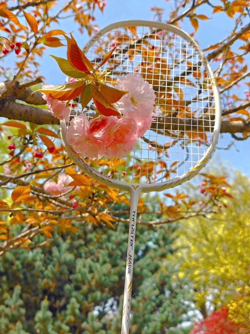 ảnh vợt cầu lông 31