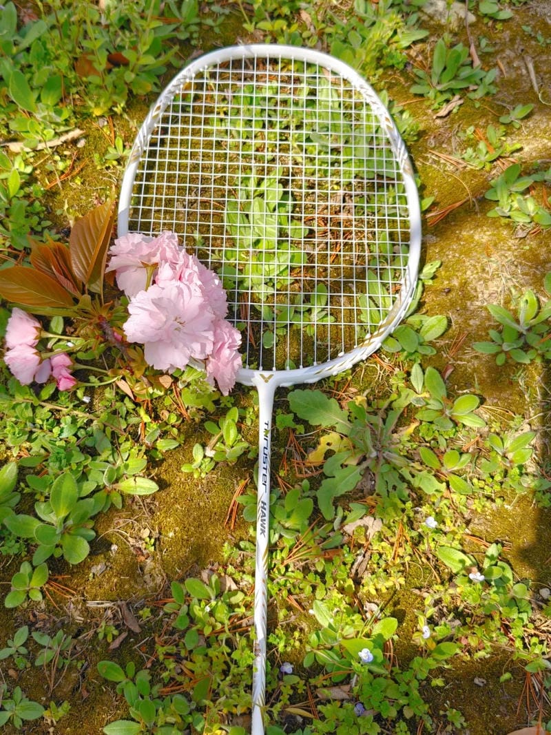 ảnh vợt cầu lông 32