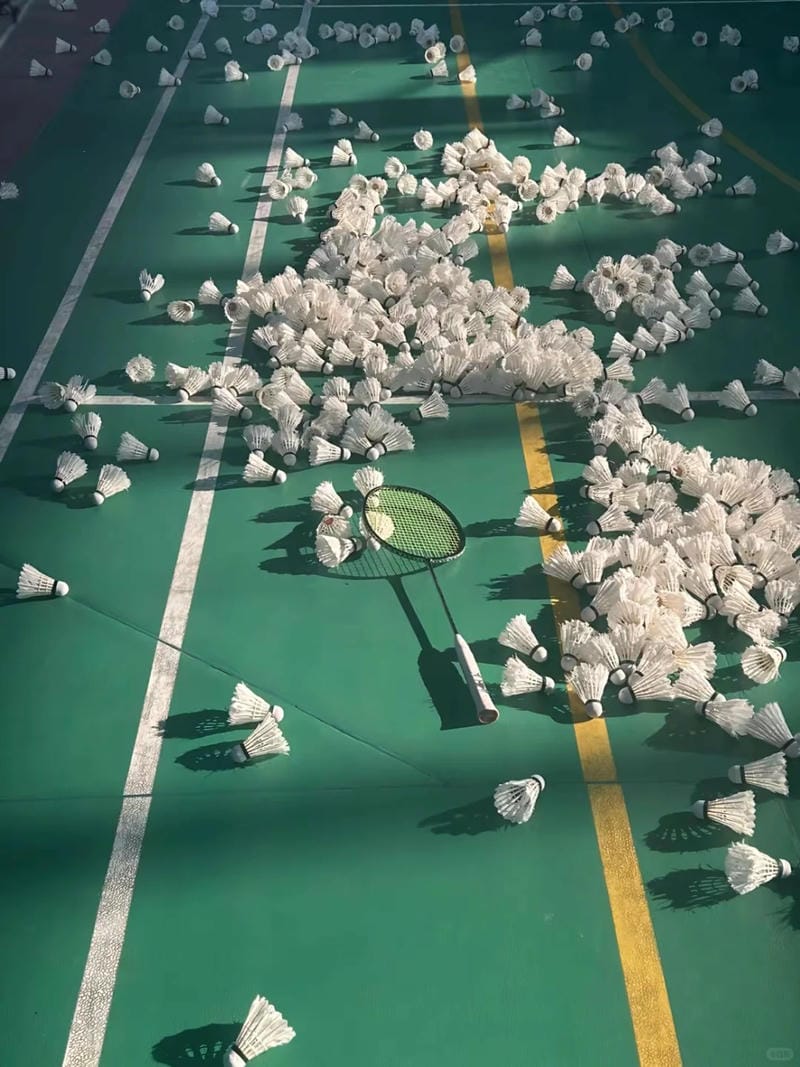 ảnh vợt cầu lông 40