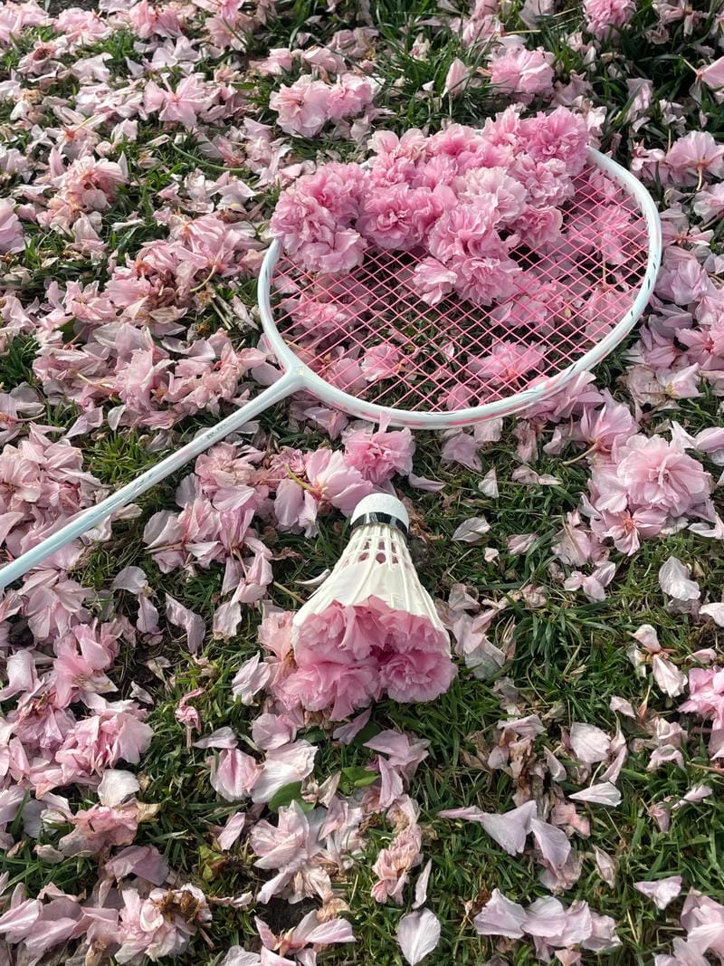 ảnh vợt cầu lông 5