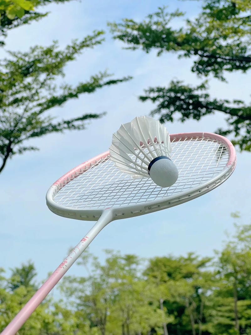 ảnh vợt cầu lông 8