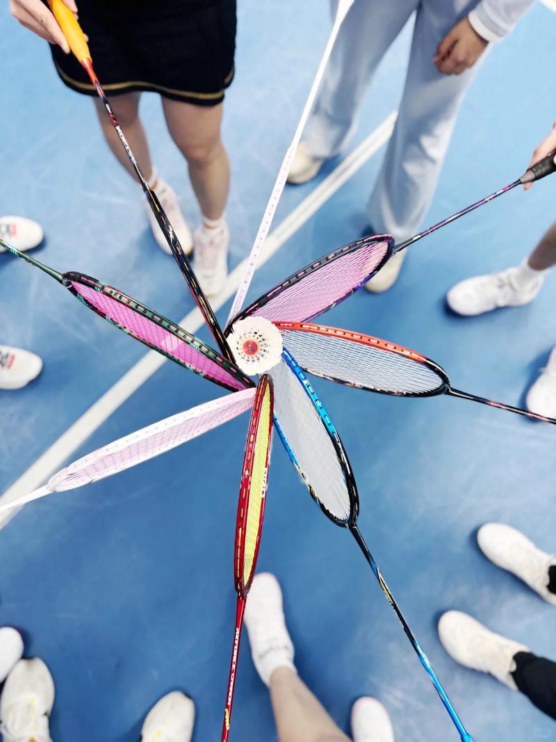 ảnh vợt cầu lông 9
